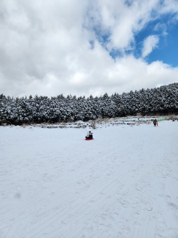 제주도_한라산_눈썰매