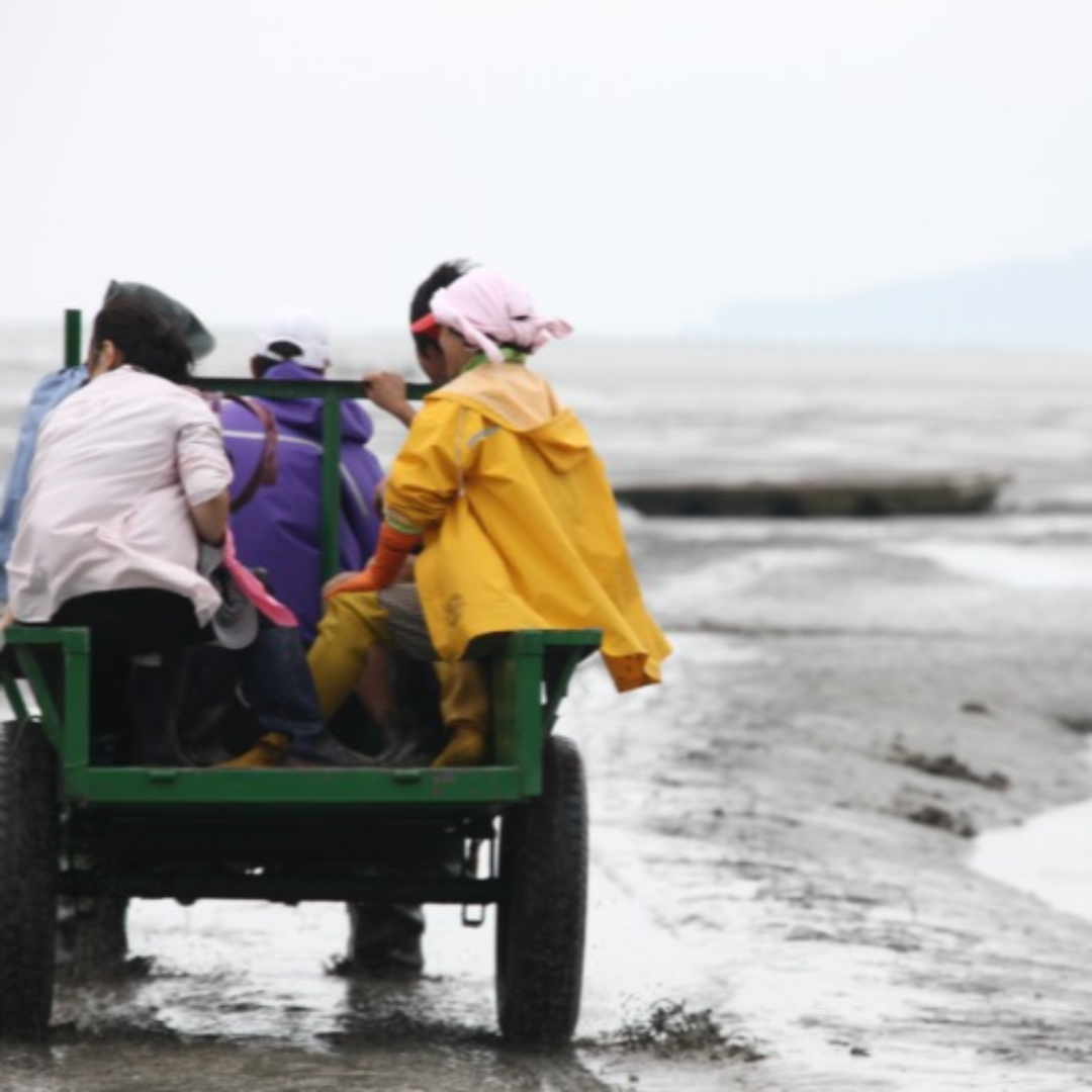 가족 여행 추천! 진도신비의 바닷길 축제 완전정복4