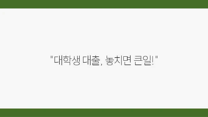 대학생 생활비 대출 알아봐야 하는 순서 모르면 당한다