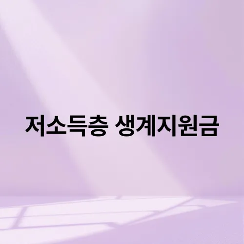 저소득층 생계지원금