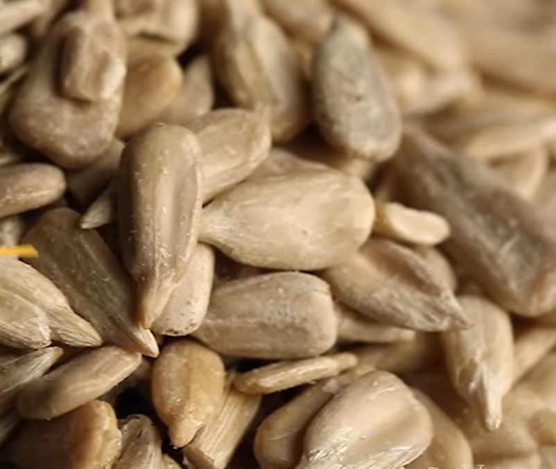 해바라기 씨 효능