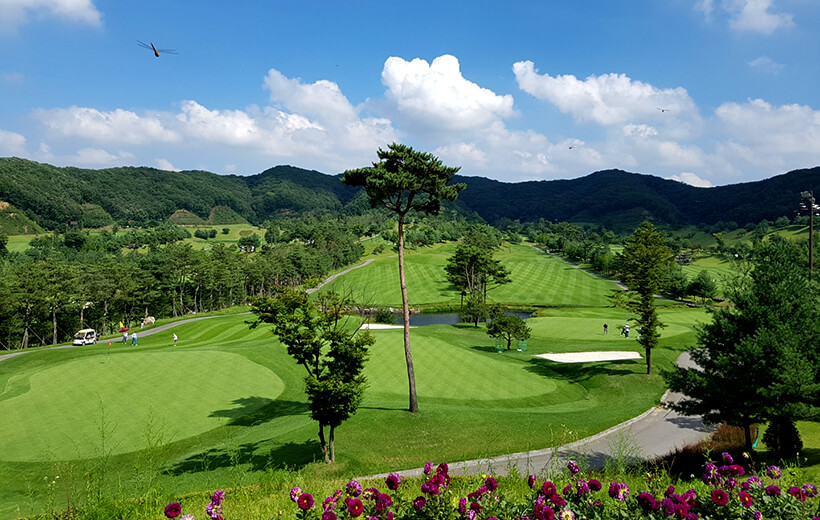 파주 cc