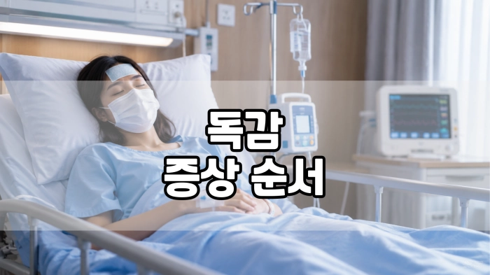 독감 증상 순서