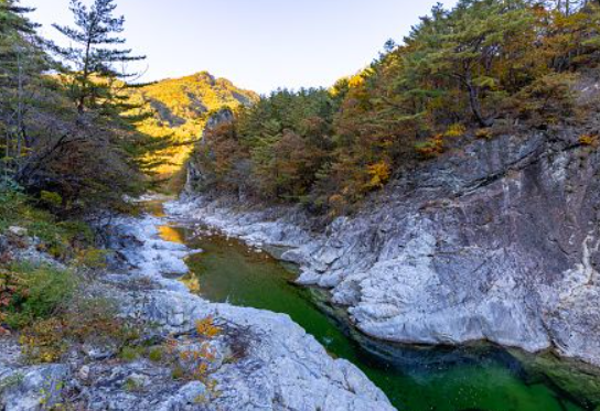 [2025 최신] 설악산 단풍 절정시기 완전공개! 실시간 단풍현황 &amp; 등산코스 BEST