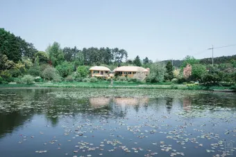 천리포 수목원 목련축제 입장료 여행코스_23