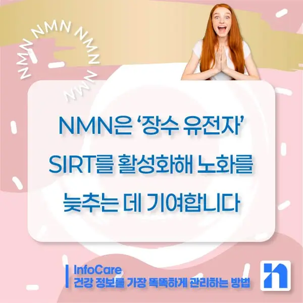 NMN 효능 효과 저속노화 노화방지 항노화