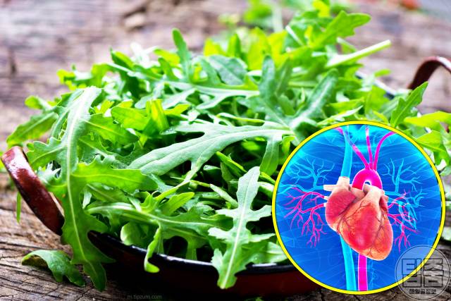 심장에 좋은 음식 아르굴라 심장병 박사 추천