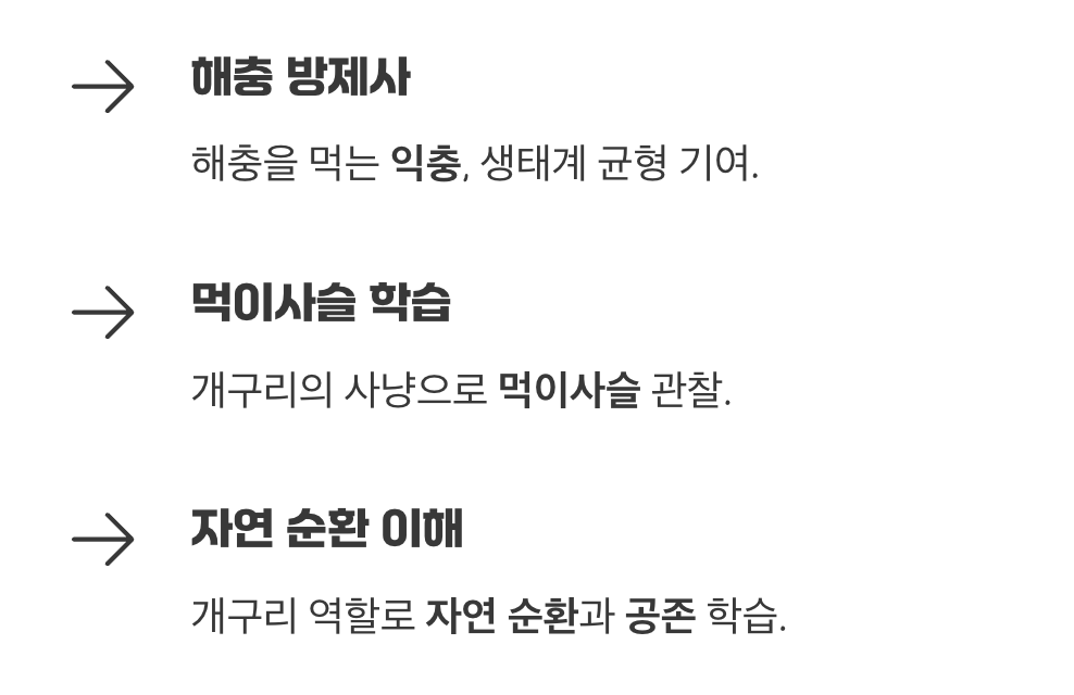 훌륭한 해충 방제사이자 생태계의 일원