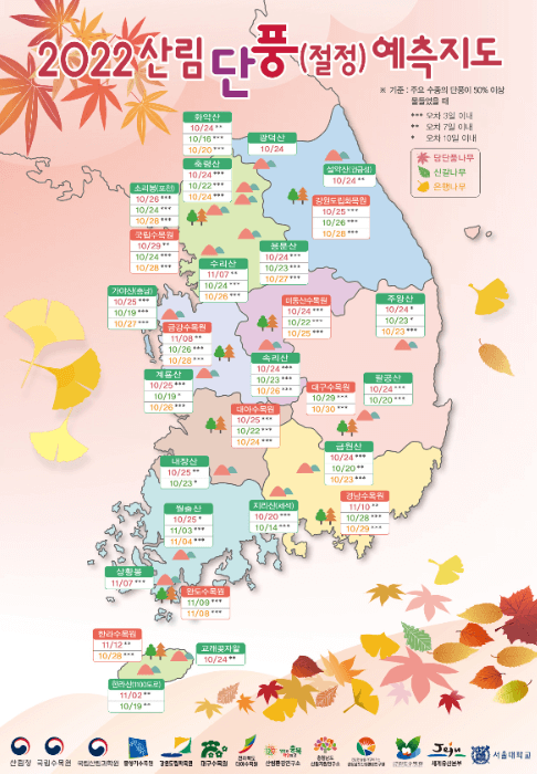 22년 내장산 국립공원 단풍 절정 시기