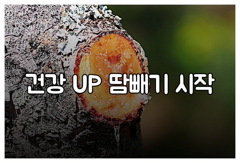 건강 UP 땀빼기 시작