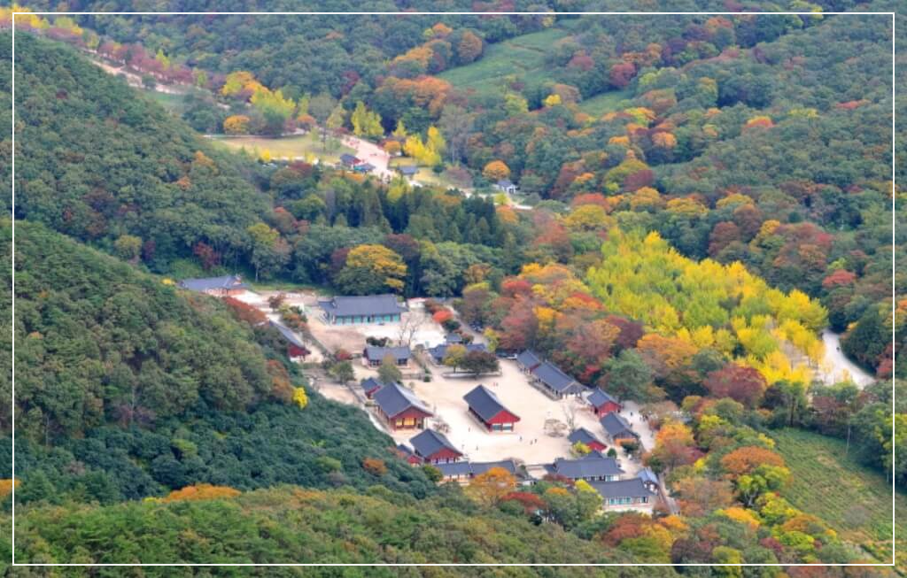 고창 가볼만한곳 베스트10 선운산도립공원
