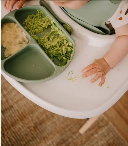 baby food preparation tools