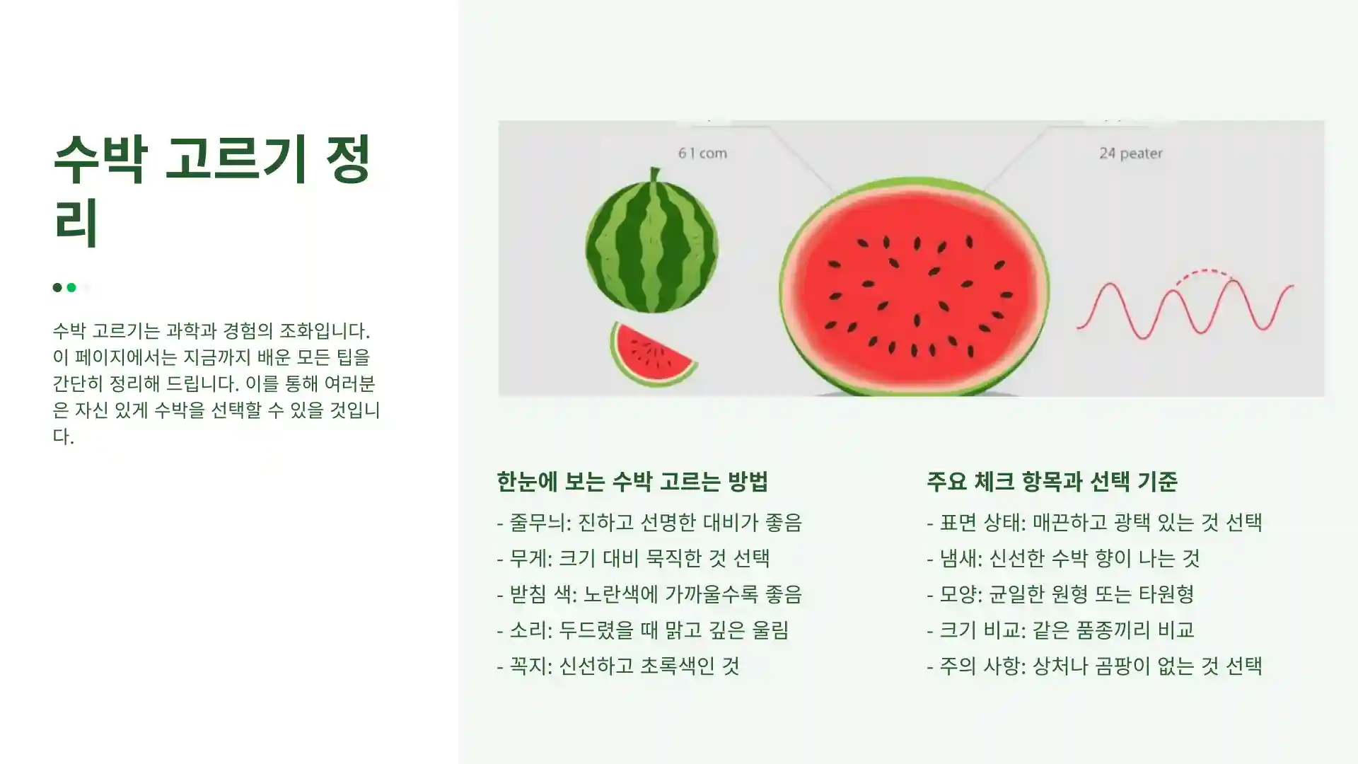 수박 고르는 방법