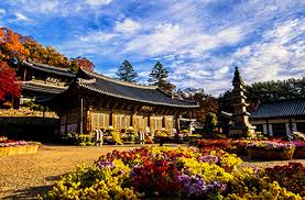 마곡사 탐방기 (공주 산사, 백범 김구, 세계문화유산)