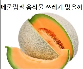 메론껍질 음식물 쓰레기 맞을까