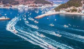 욕지도 차량선적 가격