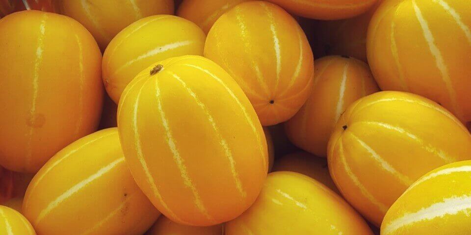 여름 제철 과일 참외 놀라운 10가지 효능과 부작용 및 참외 씨&amp;#44; 참외 껍질 효능