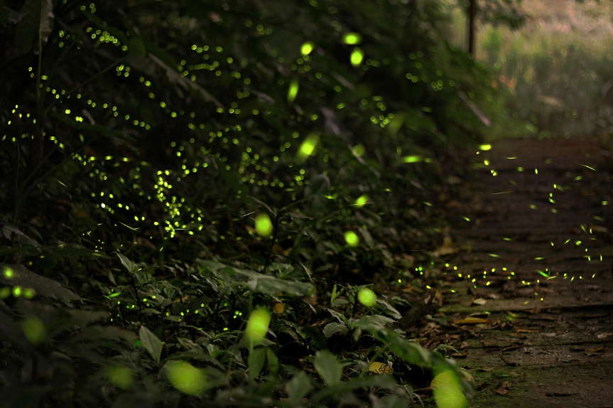 무주 반디랜드 & 무주리조트 여행, 가족과 함께 즐기는 사계절 힐링코스 관련 사진