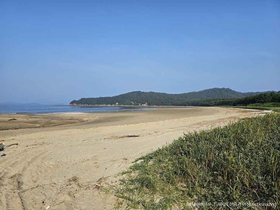 보령 가볼만한곳 베스트10