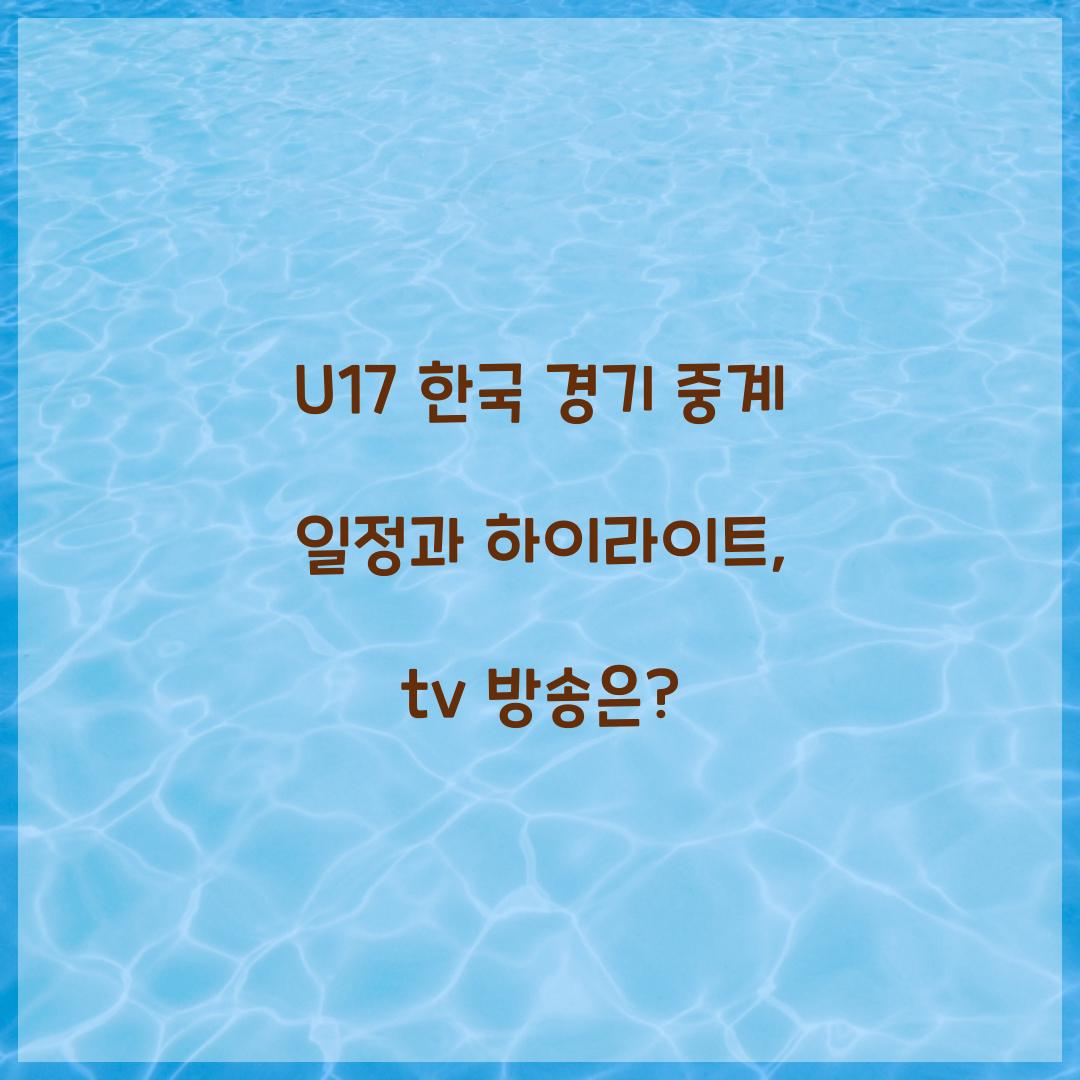 U17 한국 경기