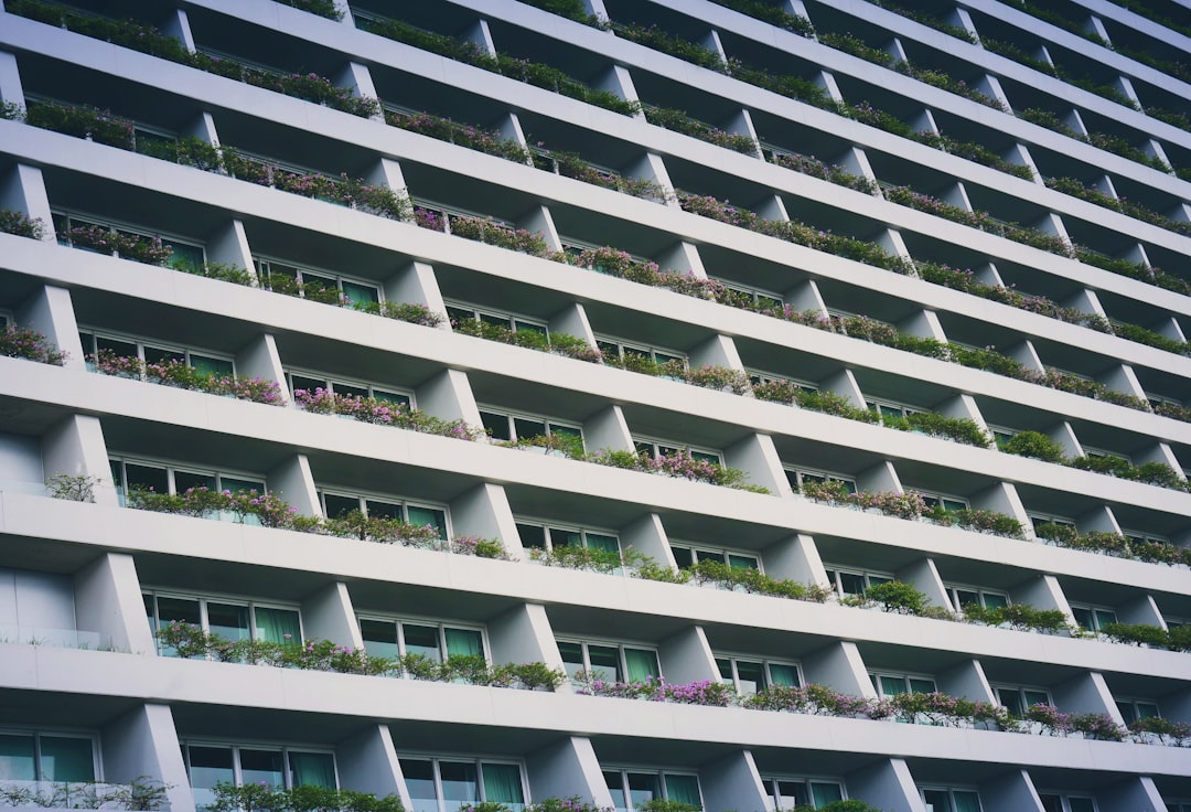 Accommodation