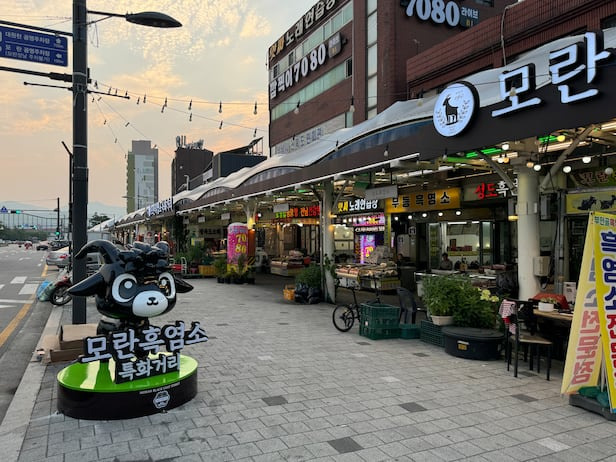 모란시장 장날&middot;영업일 완벽 정리 ❘ 날짜&middot;시간&middot;위치&middot;교통 안내