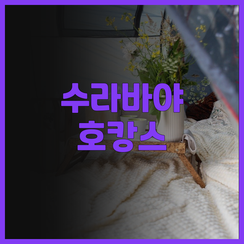 윈덤 수라바야 시티 센터! 럭셔리한 ..