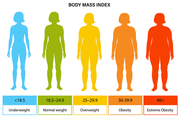 bmi 란