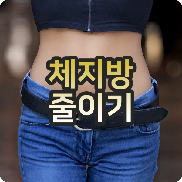 체지방줄이는법