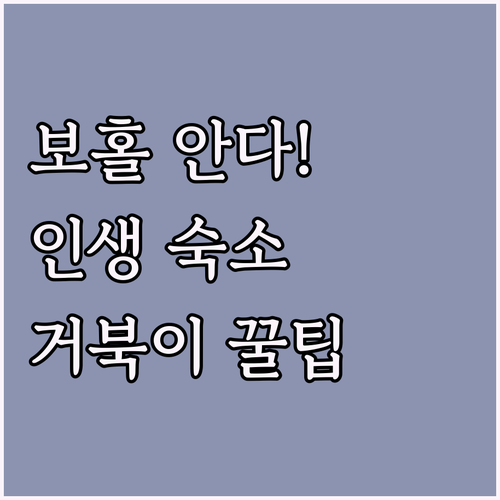 보홀 안다 여행 숙소 추천과 거북이 ..