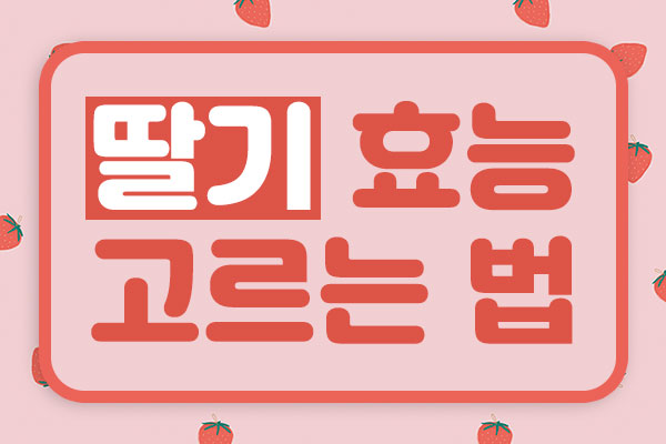 글자이미지