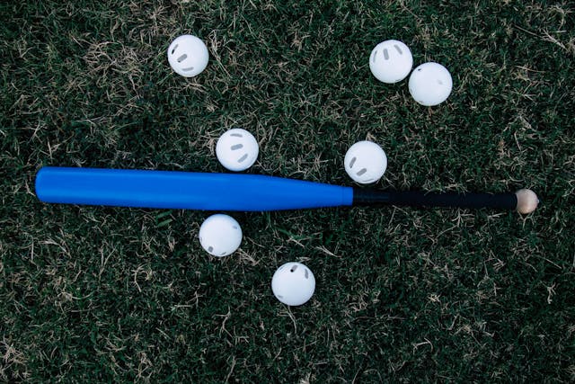 프로야구 시범경기