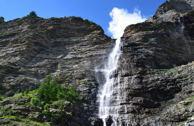수박 칼로리 효능