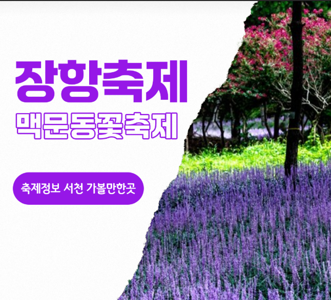 장항축제-맥문동 꽃축제