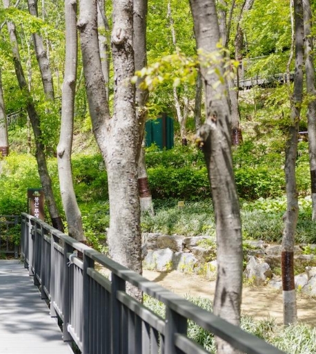 은평구 봉산 무장애숲길