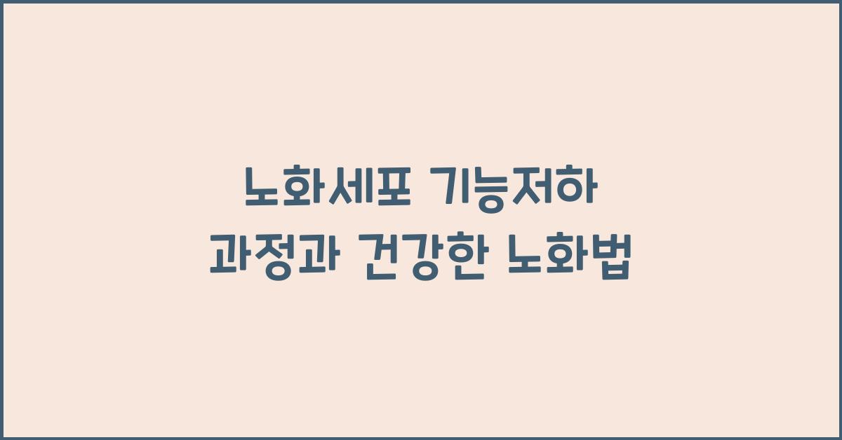 노화세포, 기능저하 과정