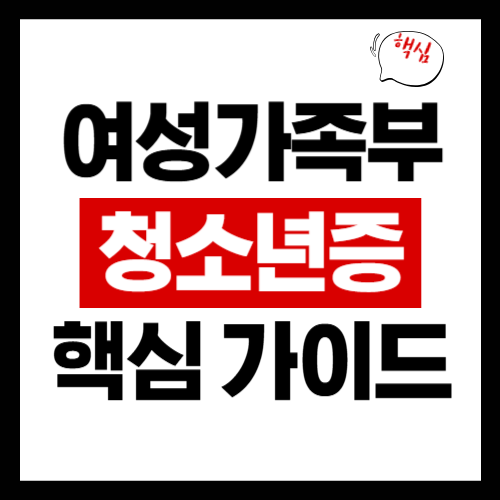 청소년증 발급