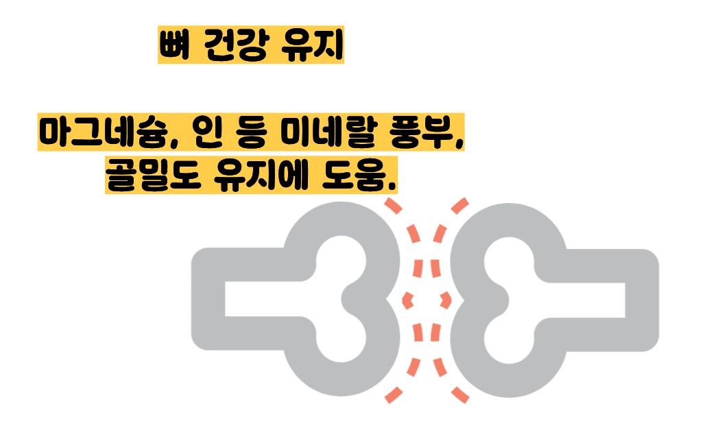 귀리 효능과 부작용