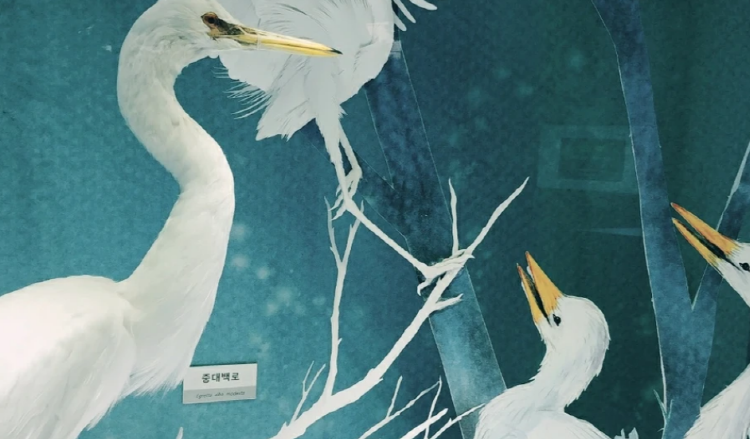 우석헌 자연사 박물관