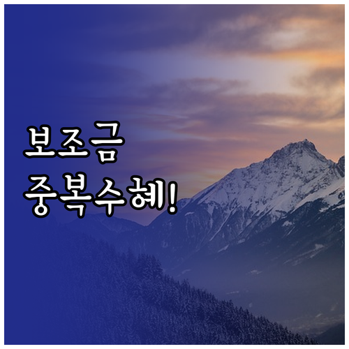 전기차 보조금 중복 수혜 가능한 항목..