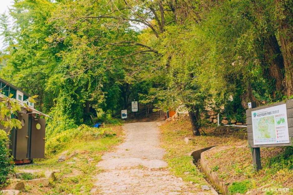 보은 가볼만한곳 베스트10