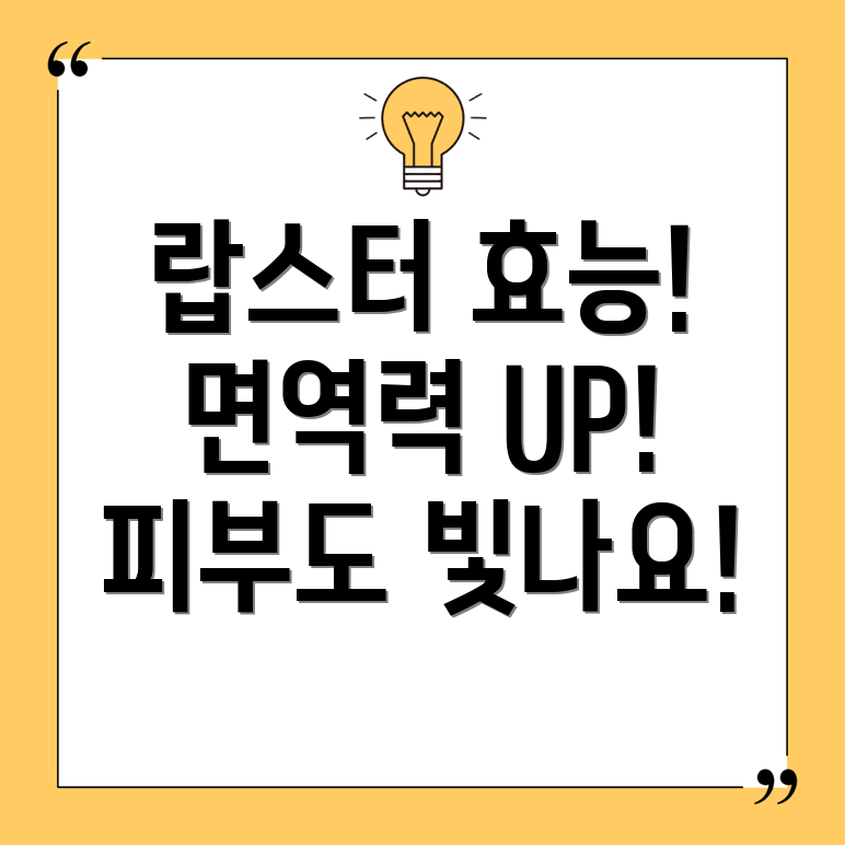 랍스터 효능