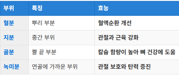 녹용의 정의와 성분