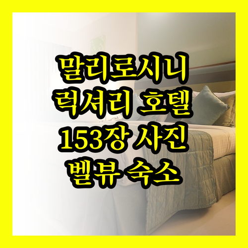 말리로시니 호텔 벨뷰.. 럭셔리와 편