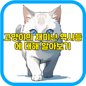 고양이의 재미난 역사들에 대해 알아보기