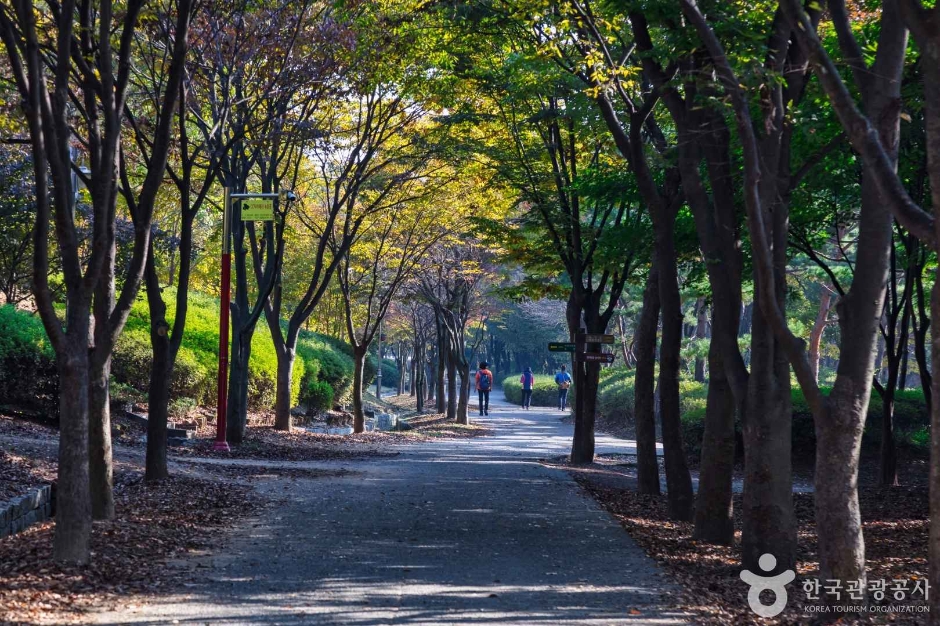 인천대공원3
