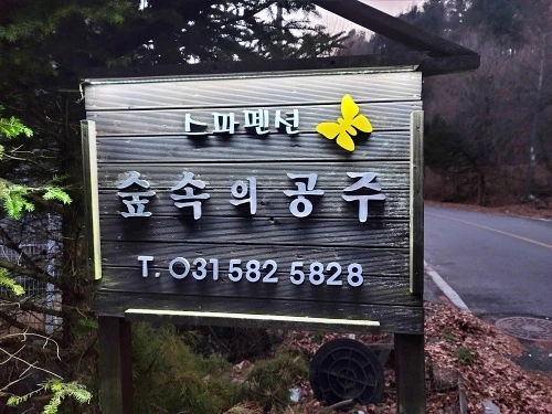 숲속의공주펜션