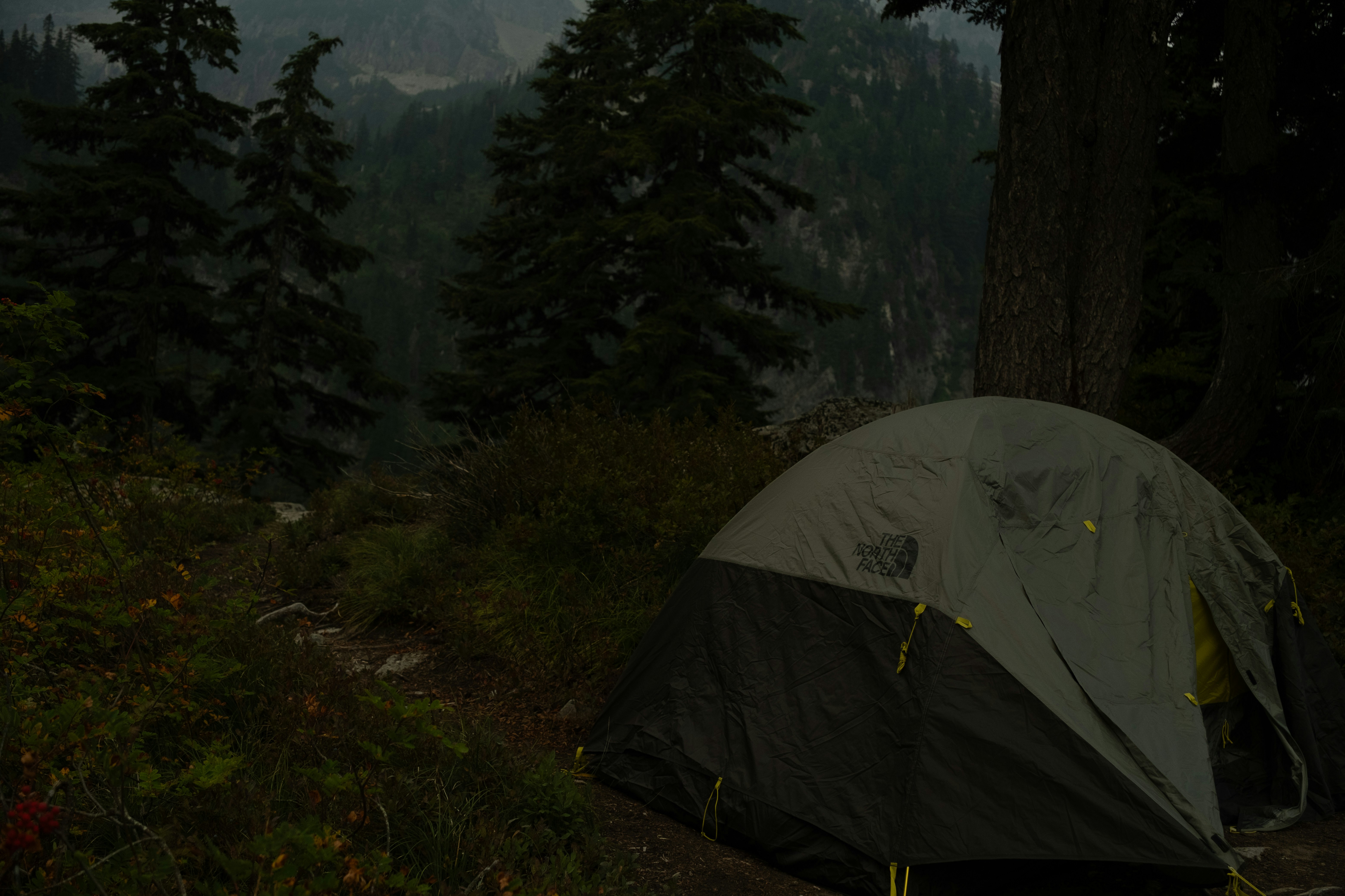 안개 낀 깊은 산속 텐트 관련 사진