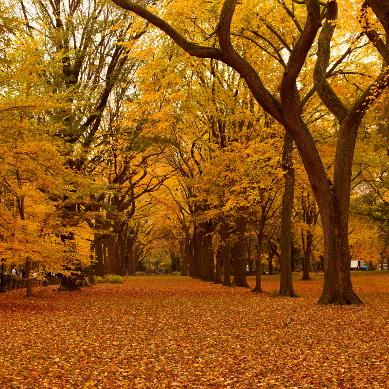 2024년 가을 축제_19