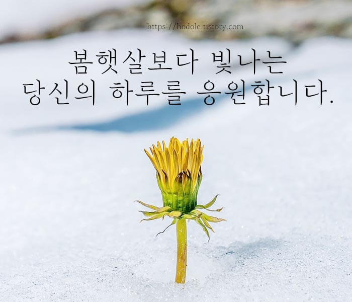 응원메시지
